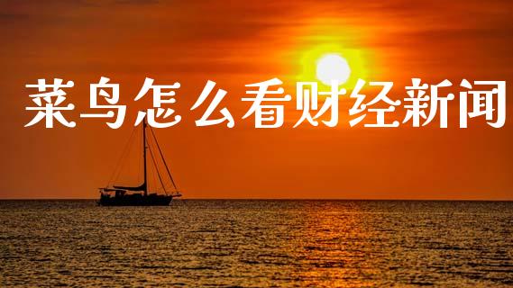菜鸟怎么看财经新闻_https://cj002.lansai.wang_财经百问_第1张