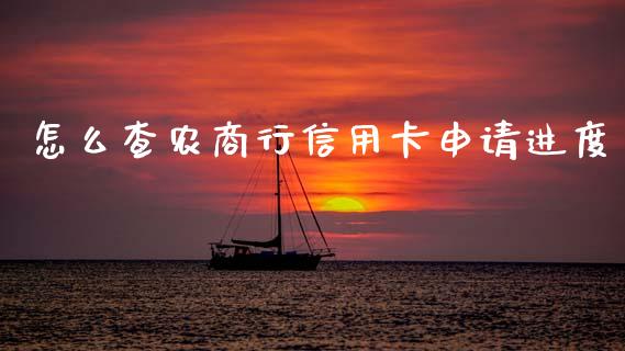 怎么查农商行信用卡申请进度_https://cj002.lansai.wang_金融问答_第1张