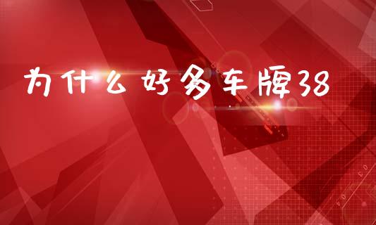 为什么好多车牌38_https://cj002.lansai.wang_金融问答_第1张
