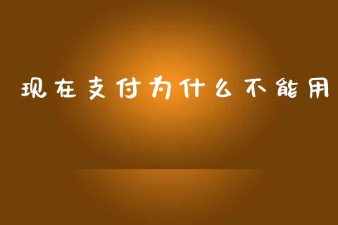 现在支付为什么不能用_https://cj002.lansai.wang_理财问答_第1张