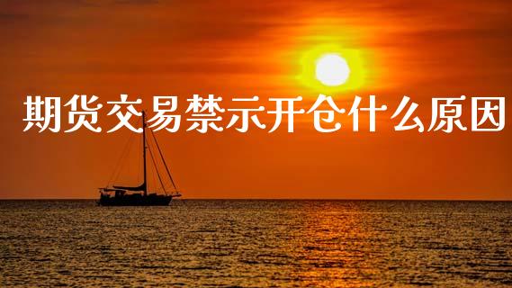 期货交易禁示开仓什么原因_https://cj002.lansai.wang_期货问答_第1张