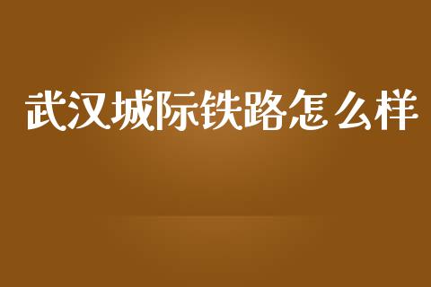 武汉城际铁路怎么样_财经百问_第1张_财经百问网 武汉城际铁路怎么样_https://cj002.lansai.wang_财经百问_第1张