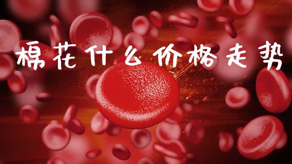 棉花什么价格走势_https://cj002.lansai.wang_理财问答_第1张