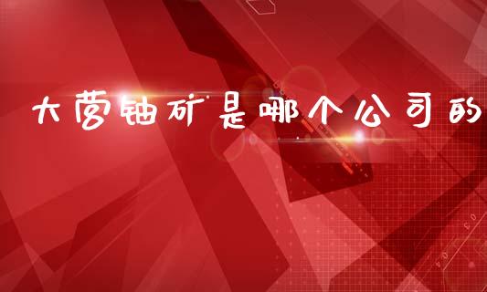 大营铀矿是哪个公司的_https://cj002.lansai.wang_财经百问_第1张