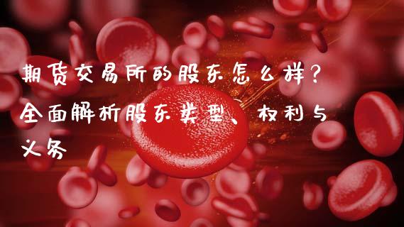 期货交易所的股东怎么样？全面解析股东类型、权利与义务_https://cj002.lansai.wang_理财问答_第1张
