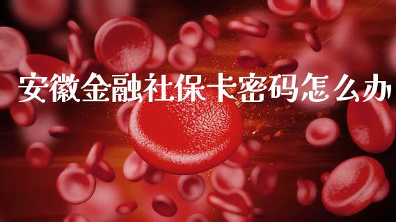 安徽金融社保卡密码怎么办_https://cj002.lansai.wang_保险问答_第1张