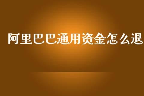 阿里巴巴通用资金怎么退_https://cj002.lansai.wang_会计问答_第1张