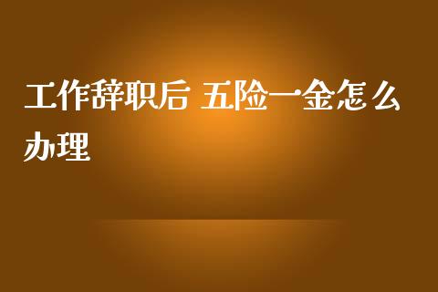 工作辞职后 五险一金怎么办理_https://cj002.lansai.wang_保险问答_第1张