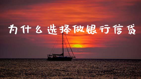 为什么选择做银行信贷_https://cj002.lansai.wang_理财问答_第1张