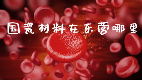 国瓷材料在东营哪里_https://cj002.lansai.wang_股市问答_第1张