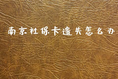 南京社保卡遗失怎么办_https://cj002.lansai.wang_保险问答_第1张