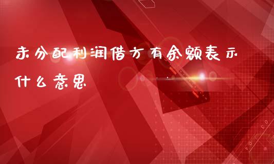 未分配利润借方有余额表示什么意思_https://cj002.lansai.wang_会计问答_第1张