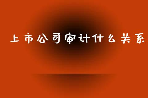 上市公司审计什么关系_https://cj002.lansai.wang_会计问答_第1张