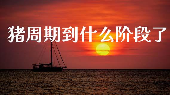 猪周期到什么阶段了_https://cj002.lansai.wang_期货问答_第1张