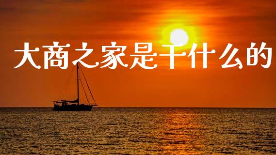 大商之家是干什么的_https://cj002.lansai.wang_保险问答_第1张