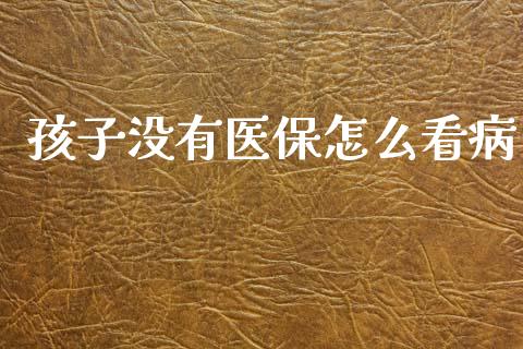 孩子没有医保怎么看病_https://cj002.lansai.wang_保险问答_第1张