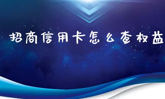招商信用卡怎么查权益_https://cj002.lansai.wang_金融问答_第1张