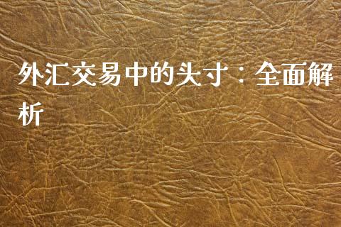 外汇交易中的头寸：全面解析_https://cj002.lansai.wang_会计问答_第1张