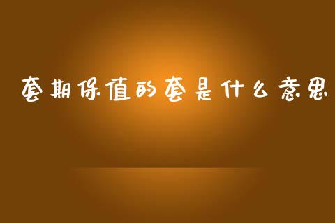 套期保值的套是什么意思_https://cj002.lansai.wang_财经问答_第1张