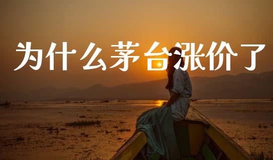 为什么茅台涨价了_https://cj002.lansai.wang_股市问答_第1张