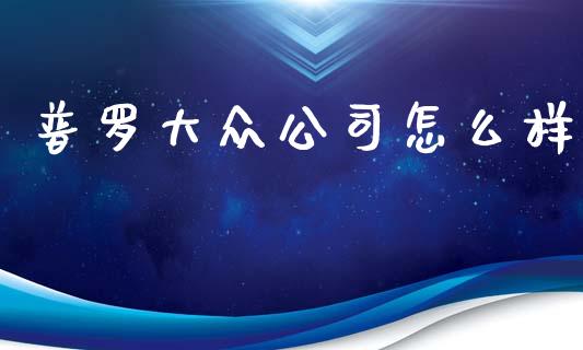 普罗大众公司怎么样_https://cj002.lansai.wang_保险问答_第1张