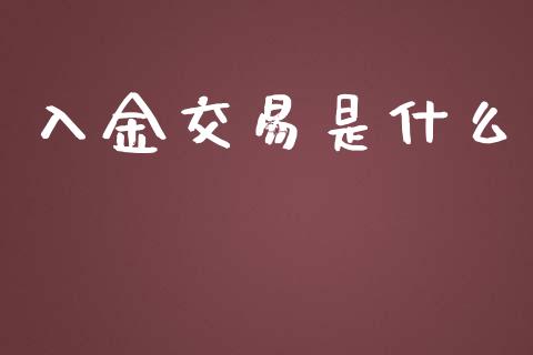 入金交易是什么_https://cj002.lansai.wang_期货问答_第1张