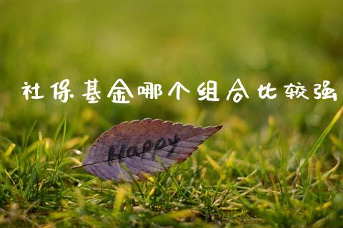 社保基金哪个组合比较强_股市问答_第1张_财经百问网 社保基金哪个组合比较强_https://cj002.lansai.wang_股市问答_第1张