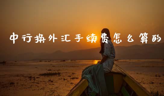 中行换外汇手续费怎么算的_https://cj002.lansai.wang_财经问答_第1张