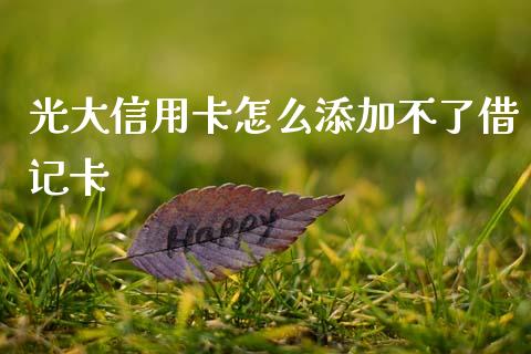 光大信用卡怎么添加不了借记卡_https://cj002.lansai.wang_金融问答_第1张