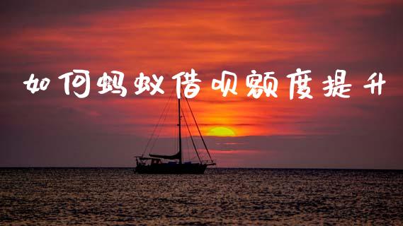 如何蚂蚁借呗额度提升_https://cj002.lansai.wang_理财问答_第1张