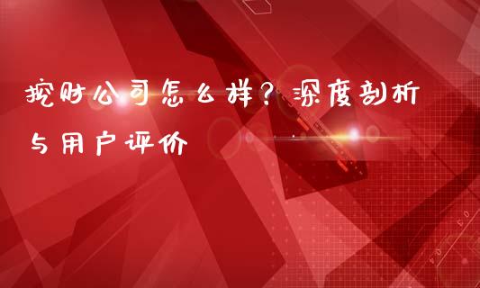 挖财公司怎么样？深度剖析与用户评价_https://cj002.lansai.wang_股市问答_第1张