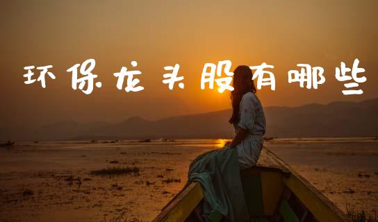 环保龙头股有哪些_https://cj002.lansai.wang_期货问答_第1张