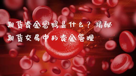 期货资金密码是什么？揭秘期货交易中的资金管理_https://cj002.lansai.wang_股市问答_第1张