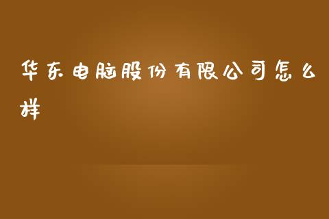 华东电脑股份有限公司怎么样_https://cj002.lansai.wang_期货问答_第1张