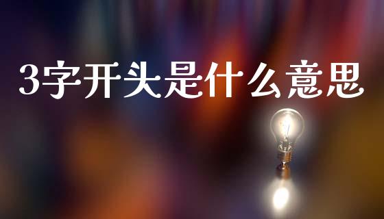3字开头是什么意思_https://cj002.lansai.wang_会计问答_第1张