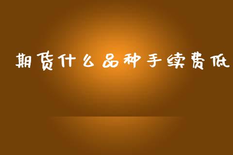 期货什么品种手续费低_https://cj002.lansai.wang_理财问答_第1张