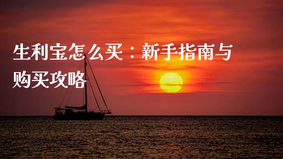 生利宝怎么买：新手指南与购买攻略_https://cj002.lansai.wang_会计问答_第1张