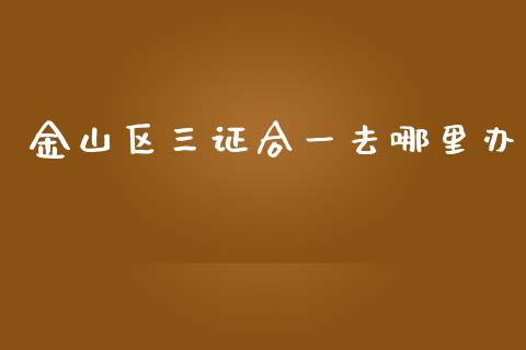 金山区三证合一去哪里办_https://cj002.lansai.wang_期货问答_第1张