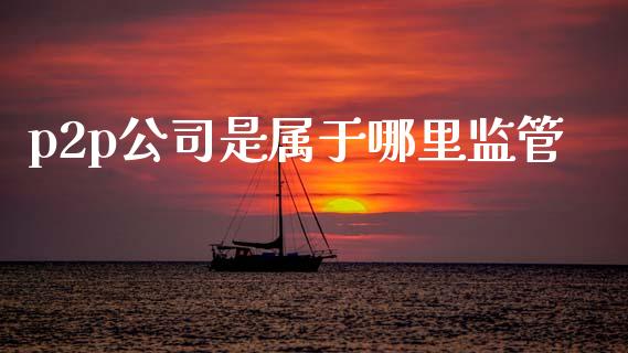 p2p公司是属于哪里监管_https://cj002.lansai.wang_理财问答_第1张