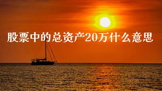 股票中的总资产20万什么意思_https://cj002.lansai.wang_期货问答_第1张