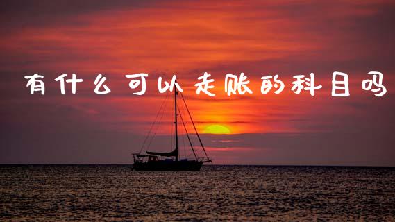 有什么可以走账的科目吗_https://cj002.lansai.wang_会计问答_第1张