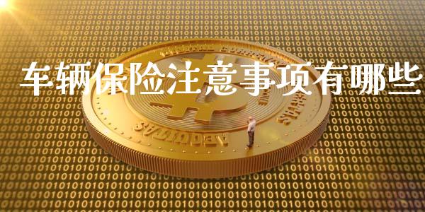 车辆保险注意事项有哪些_https://cj002.lansai.wang_期货问答_第1张