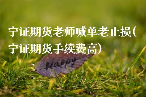 宁证期货老师喊单老止损(宁证期货手续费高)_财经百问_第1张_财经百问网 宁证期货老师喊单老止损(宁证期货手续费高)_https://cj002.lansai.wang_财经百问_第1张