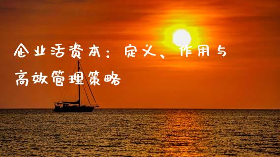 企业活资本：定义、作用与高效管理策略_https://cj002.lansai.wang_金融问答_第1张
