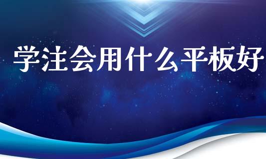 学注会用什么平板好_https://cj002.lansai.wang_会计问答_第1张