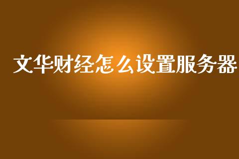 文华财经怎么设置服务器_https://cj002.lansai.wang_期货问答_第1张