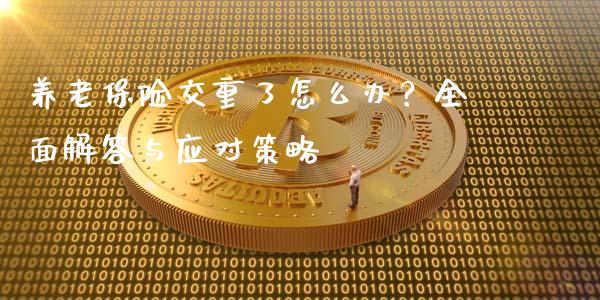 养老保险交重了怎么办？全面解答与应对策略_https://cj002.lansai.wang_财经问答_第1张