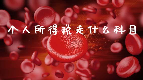 个人所得税走什么科目_https://cj002.lansai.wang_会计问答_第1张