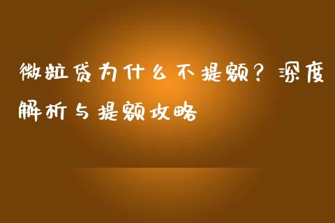 微粒贷为什么不提额？深度解析与提额攻略_https://cj002.lansai.wang_财经百问_第1张