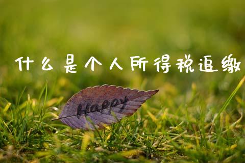 什么是个人所得税追缴_https://cj002.lansai.wang_会计问答_第1张